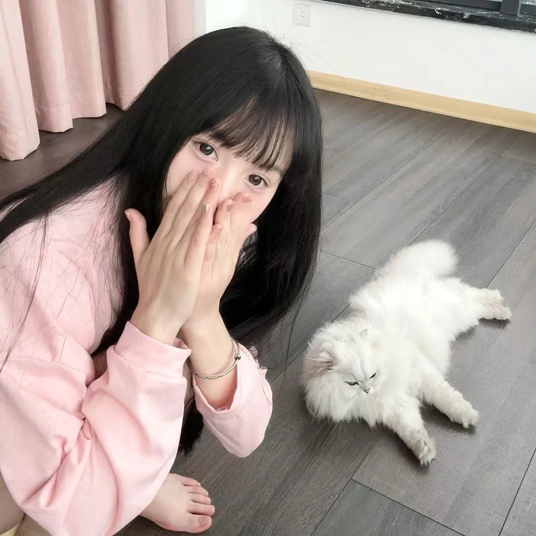 今日份的散步 海报