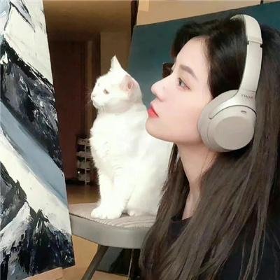 友谊的颜色 海报